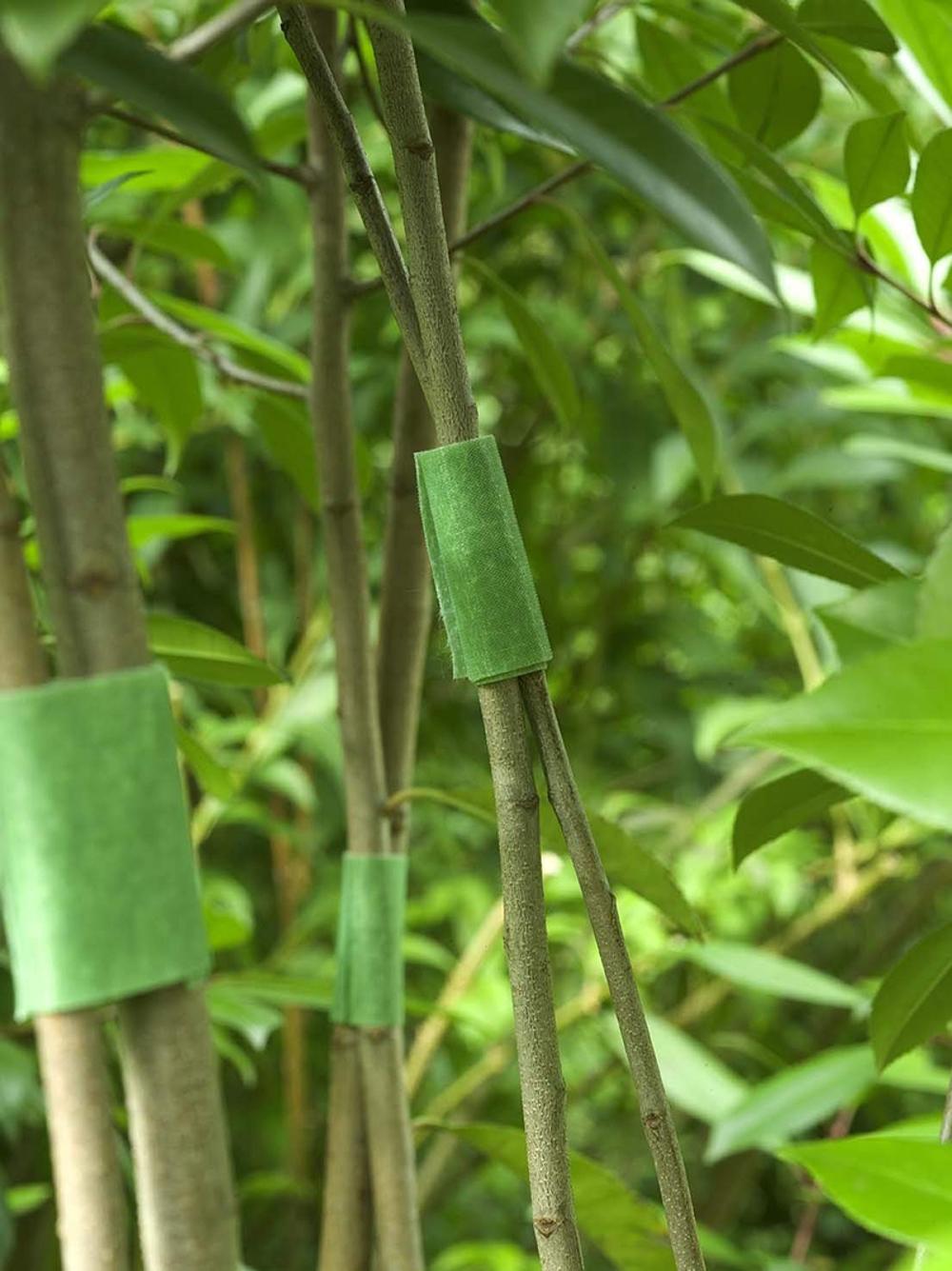 Hook loop wrap Plant Ties