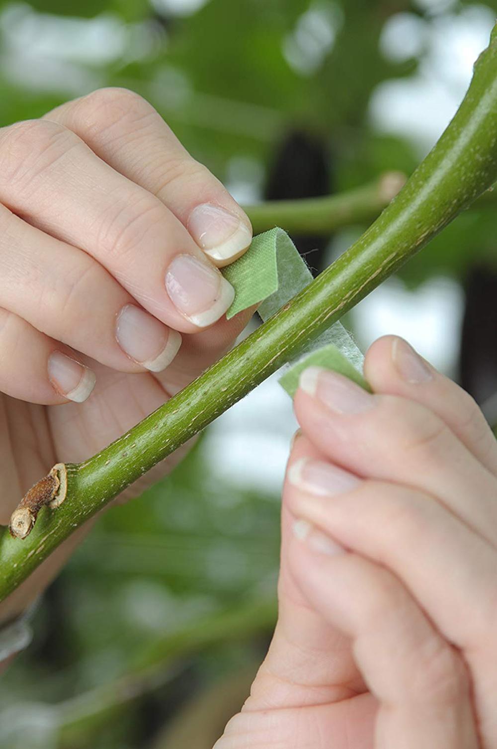 Adjustable-Plant-strap
