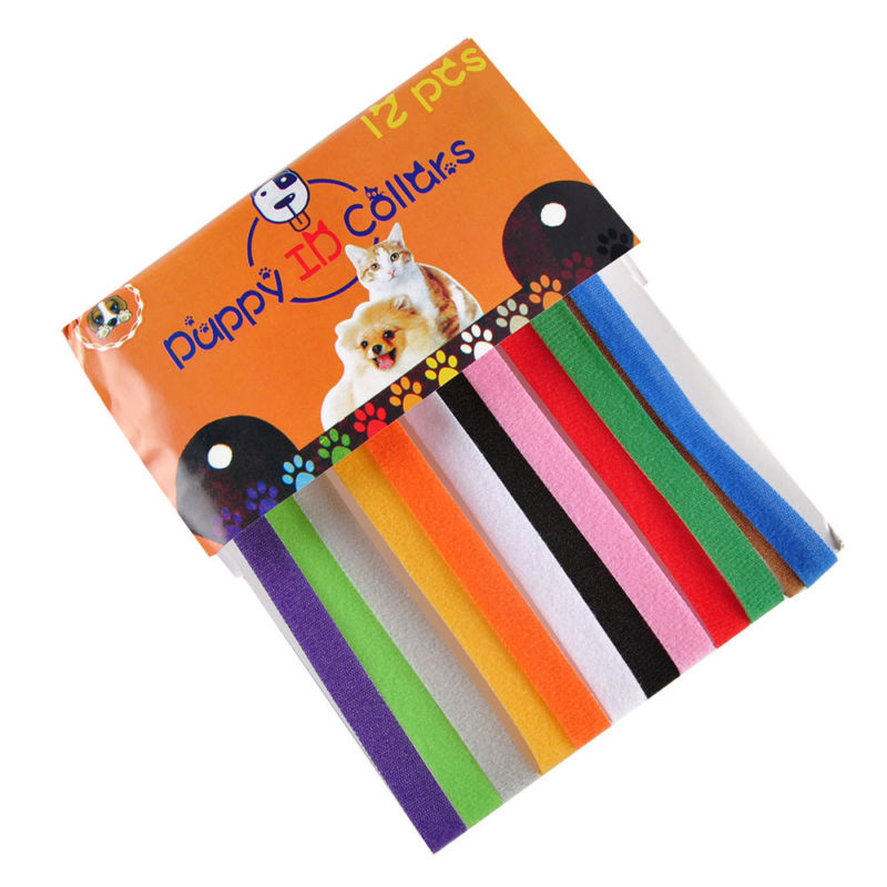 Puppy ID Collars