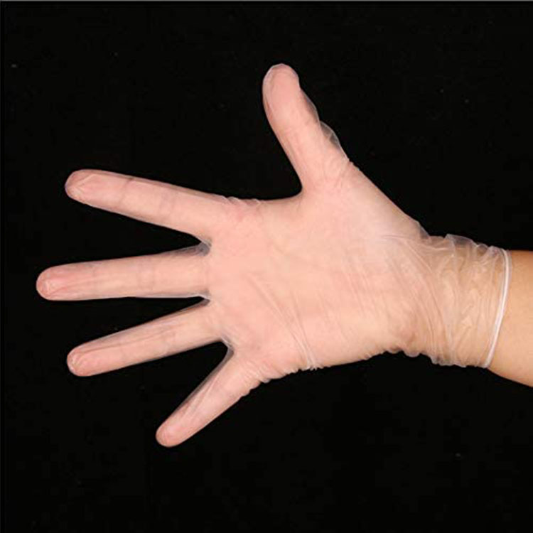 Disposable Vinyl Gloves