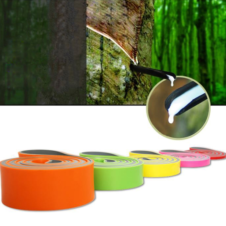 Elastic Stretch Band